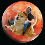 DOGE TO MARS Official