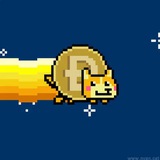 Nyan Doge | $NDOGE