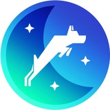 Laïka Doge L2 - Portal