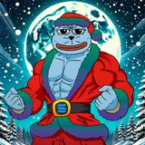 Icy's the Seal | CTO Portal