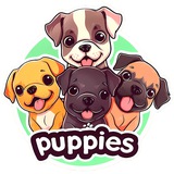 Puppies CTO Portal
