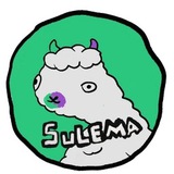 sulemaonsol