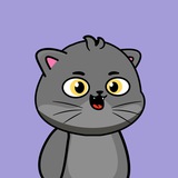 Curly - Community 🐈‍⬛