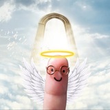 Fin portal