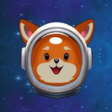 RocketDoge portal