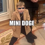 MINIDOGE PORTAL - To 1B MC