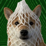 wDOG Terminal ( Portal )
