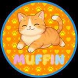 Muffin Matt Furies Cat