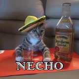 NECHO | OG HISPANIC CAT | PORTAL