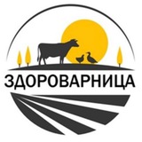 Домашние полуфабрикаты с доставкой