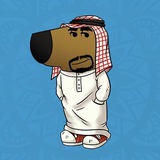 The Habibi Guy CTO