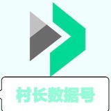 村长数据号