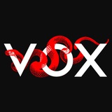 VOX PUBG