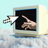 $ZOID portal