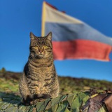 Для СВОих🇷🇺