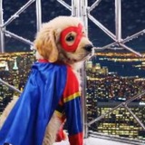 SUPERPUP
