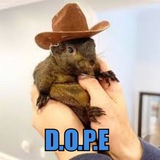 $D.O.P.E | Department Of Peanut Efficiency 🐿