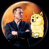 DOGEMARS Official