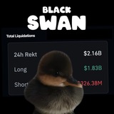 black swan $swan