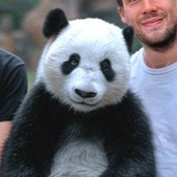 Tobo - ETHEREUM PANDA