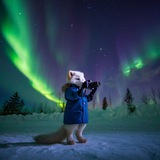 Андрей Колчин 📸