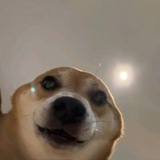$WINNIE PORTAL