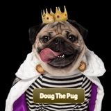 Doug The Pug