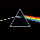 The Delicate Sound of Pink Floyd