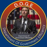 Department Of Government Efficiency