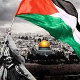 اخبار فلسطين لبنان