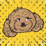 Winnie | Portal