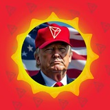 SunTrump CTO | Portal 🌞