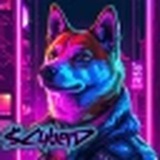 cyberdoge_onsol