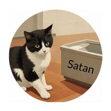 MrBeast's Cat - SATAN