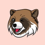 RaccoonDog