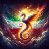 ساندیس پلاس | Sandis Plus