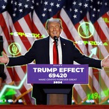 TrumpEffect69420 - Portal