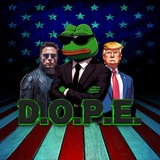 DOPE (Department of Pepe Efficiency)