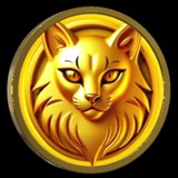 Cooncoin