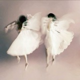 crafted from the very essence of the realms that exist between breaths, illuminating the world with their ephemeral beauty.