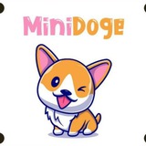 MiniDoge CTO
