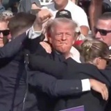 Trump Goat