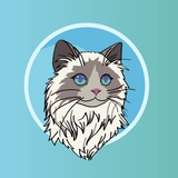 MASYA FIRST DEPLOYED