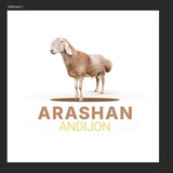 ARASHAN ANDIJON