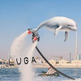 Luga Portal