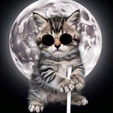 Blind Kitty Oficial 🐈