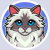 Masya - Vitalik’s Cat