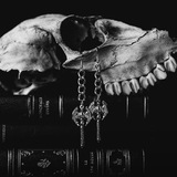 ('МУЖЧИНА.') MONSTROUSLY MANHOOD • МУСКУЛИСТЫЙ [...] Vigilant Nocturnes 𓅓