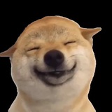 HAPPY DOG $HAPPY
