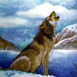 WolfKing On BSC